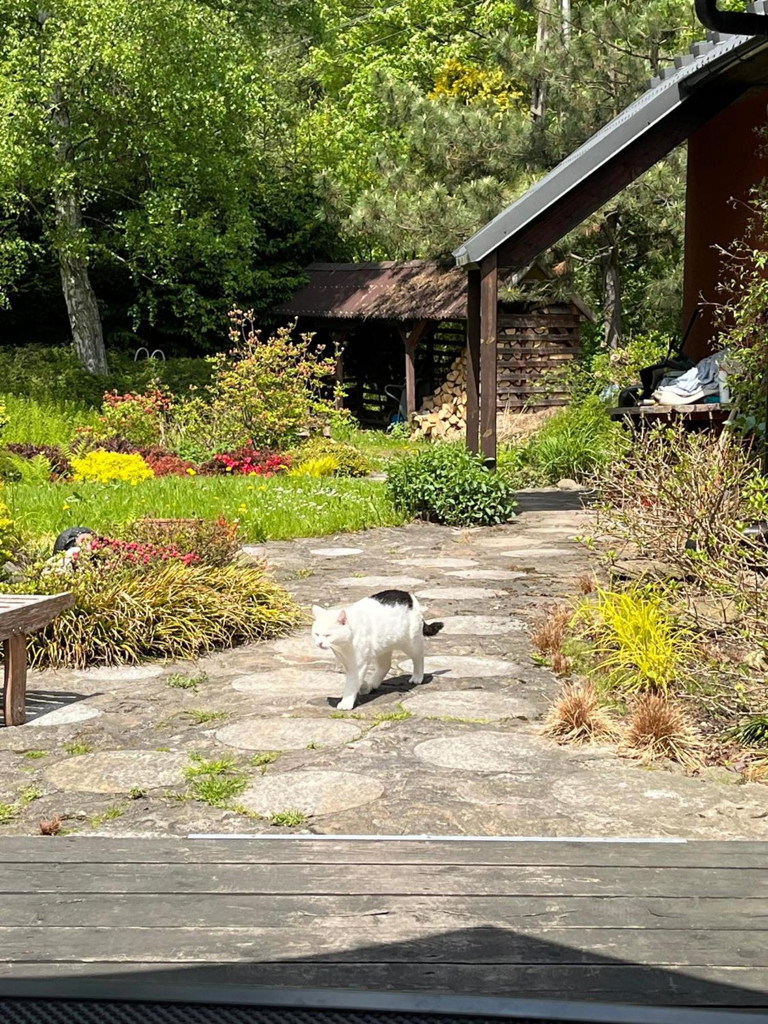 U Joli Chalet